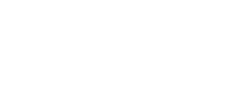 Career